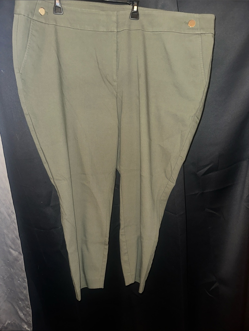 LOFT Olive Green Pants size 22